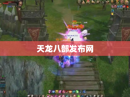 天龙八部发布网