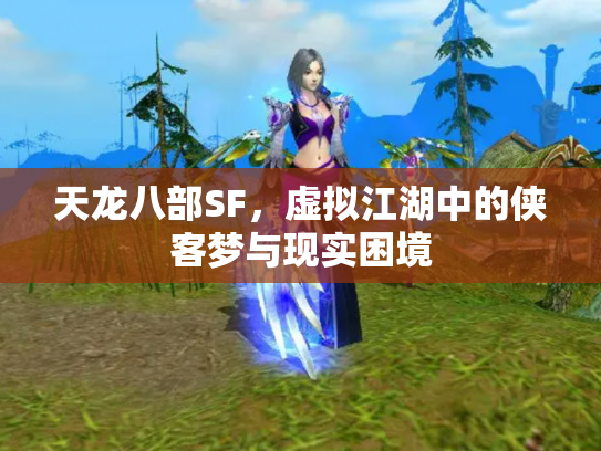 天龙八部SF，虚拟江湖中的侠客梦与现实困境