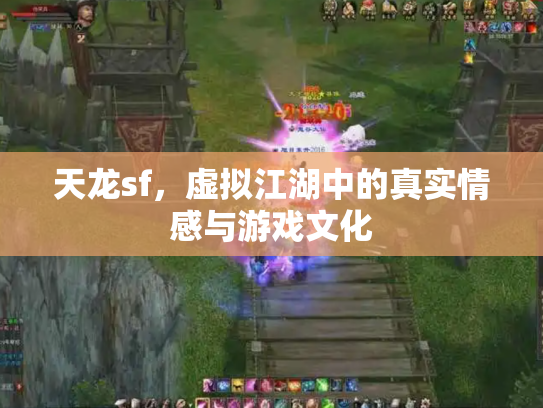 天龙sf，虚拟江湖中的真实情感与游戏文化