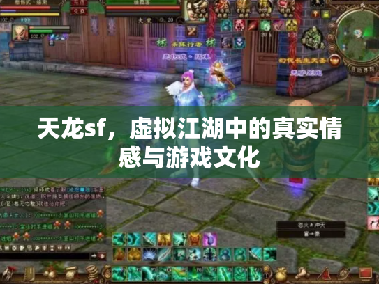 天龙sf，虚拟江湖中的真实情感与游戏文化