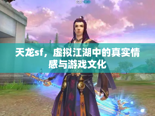 天龙sf，虚拟江湖中的真实情感与游戏文化