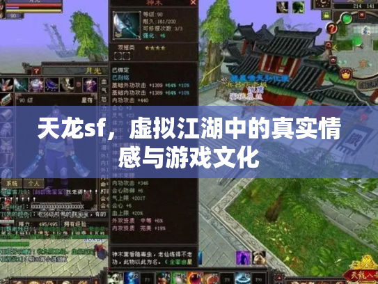 天龙sf，虚拟江湖中的真实情感与游戏文化
