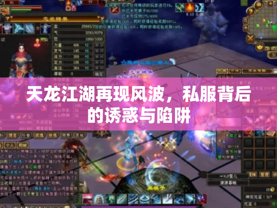 天龙江湖再现风波，私服背后的诱惑与陷阱