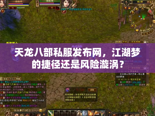 天龙八部私服发布网，江湖梦的捷径还是风险漩涡？