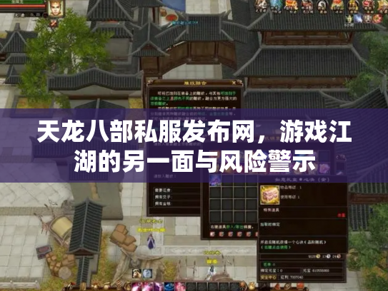 天龙八部私服发布网，游戏江湖的另一面与风险警示