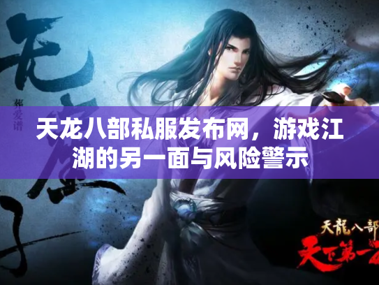 天龙八部私服发布网，游戏江湖的另一面与风险警示
