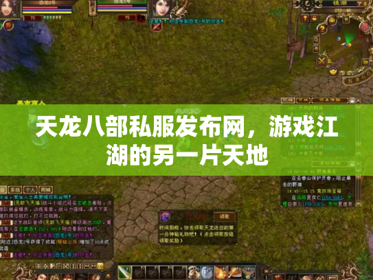 天龙八部私服发布网，游戏江湖的另一片天地