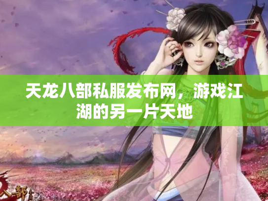 天龙八部私服发布网，游戏江湖的另一片天地