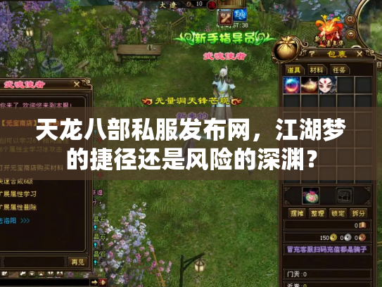 天龙八部私服发布网，江湖梦的捷径还是风险的深渊？