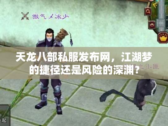 天龙八部私服发布网，江湖梦的捷径还是风险的深渊？