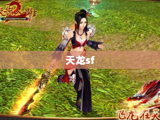 天龙sf