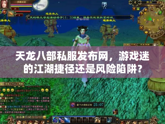 天龙八部私服发布网，游戏迷的江湖捷径还是风险陷阱？