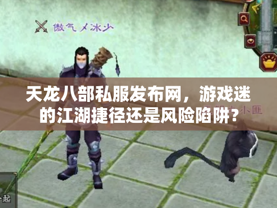 天龙八部私服发布网，游戏迷的江湖捷径还是风险陷阱？