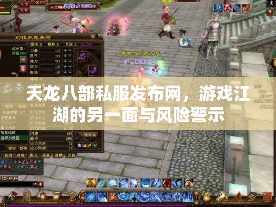 天龙八部私服发布网，游戏江湖的另一面与风险警示
