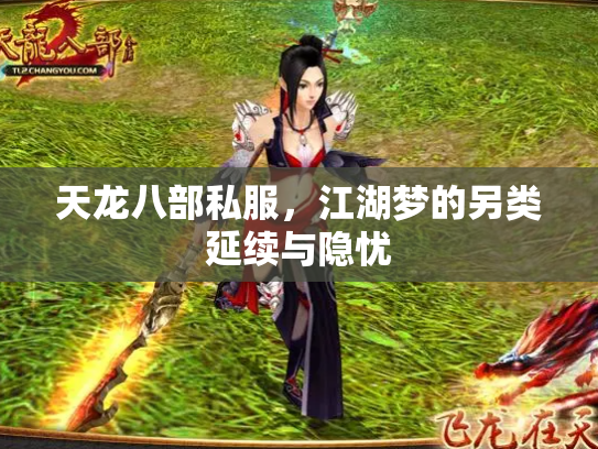 天龙八部私服，江湖梦的另类延续与隐忧