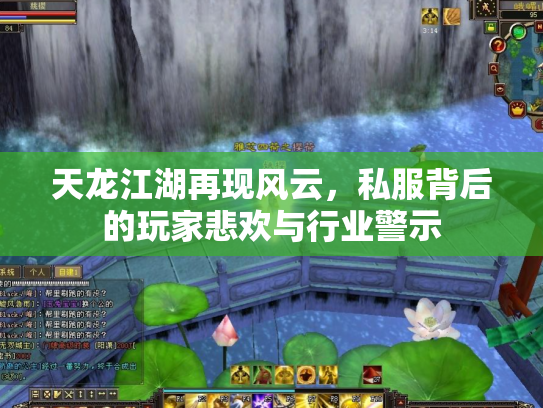 天龙江湖再现风云，私服背后的玩家悲欢与行业警示