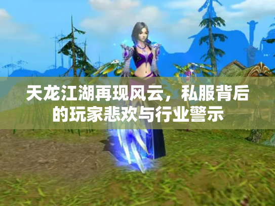 天龙江湖再现风云，私服背后的玩家悲欢与行业警示