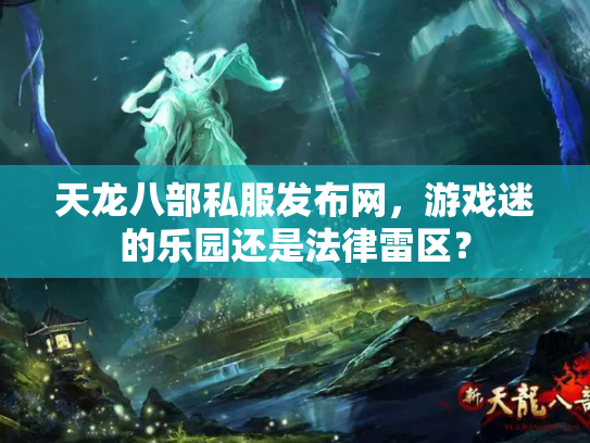 天龙八部私服发布网，游戏迷的乐园还是法律雷区？