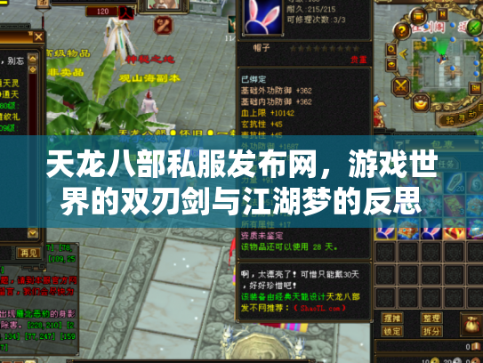 天龙八部私服发布网，游戏世界的双刃剑与江湖梦的反思