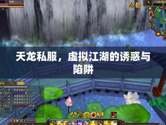 天龙私服，虚拟江湖的诱惑与陷阱