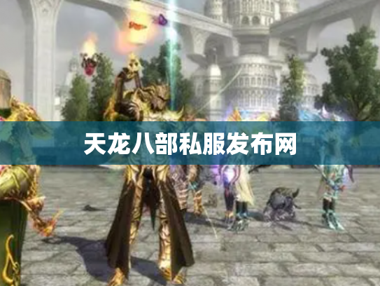 天龙八部私服发布网