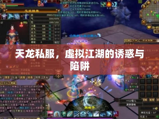 天龙私服，虚拟江湖的诱惑与陷阱