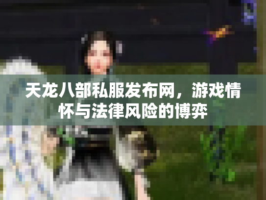 天龙八部私服发布网，游戏情怀与法律风险的博弈