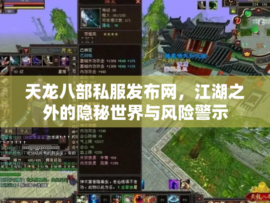 天龙八部私服发布网，江湖之外的隐秘世界与风险警示