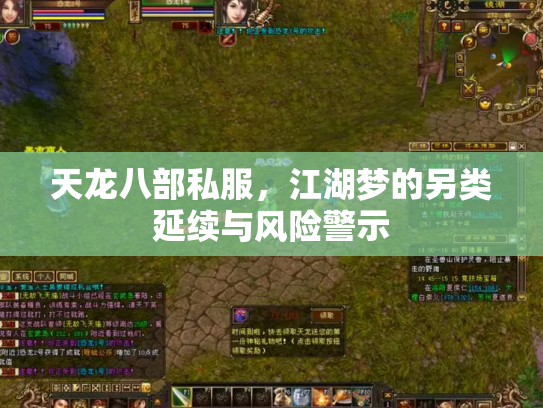 天龙八部私服，江湖梦的另类延续与风险警示