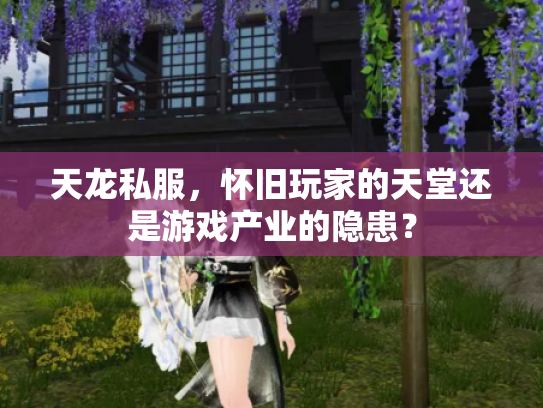 天龙私服，怀旧玩家的天堂还是游戏产业的隐患？