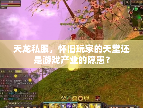 天龙私服，怀旧玩家的天堂还是游戏产业的隐患？