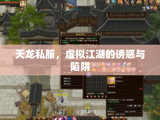 天龙私服，虚拟江湖的诱惑与陷阱