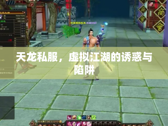 天龙私服，虚拟江湖的诱惑与陷阱