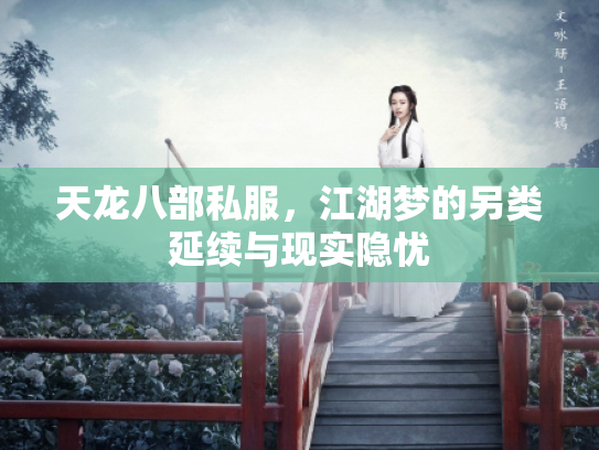 天龙八部私服，江湖梦的另类延续与现实隐忧