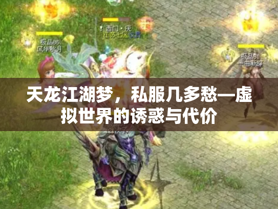 天龙江湖梦，私服几多愁—虚拟世界的诱惑与代价