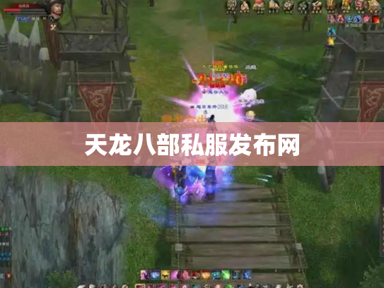 天龙八部私服发布网