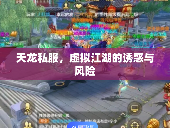 天龙私服，虚拟江湖的诱惑与风险