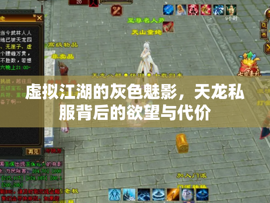 虚拟江湖的灰色魅影，天龙私服背后的欲望与代价