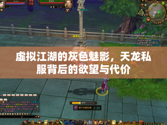 虚拟江湖的灰色魅影，天龙私服背后的欲望与代价