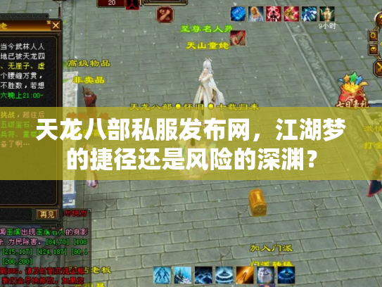 天龙八部私服发布网，江湖梦的捷径还是风险的深渊？