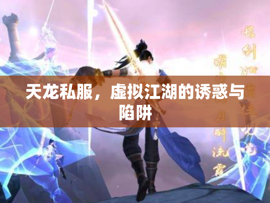天龙私服，虚拟江湖的诱惑与陷阱