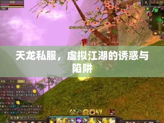 天龙私服，虚拟江湖的诱惑与陷阱