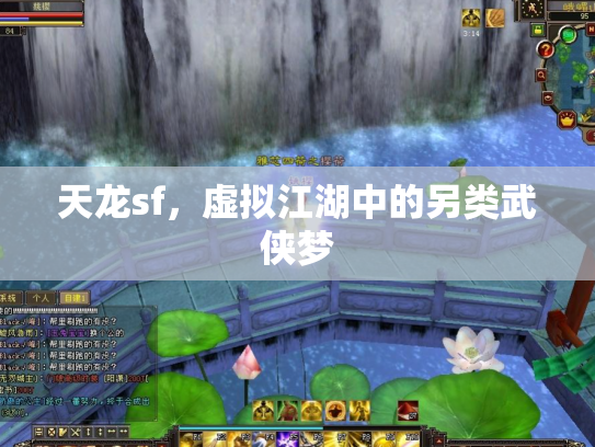 天龙sf，虚拟江湖中的另类武侠梦