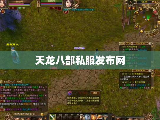 天龙八部私服发布网