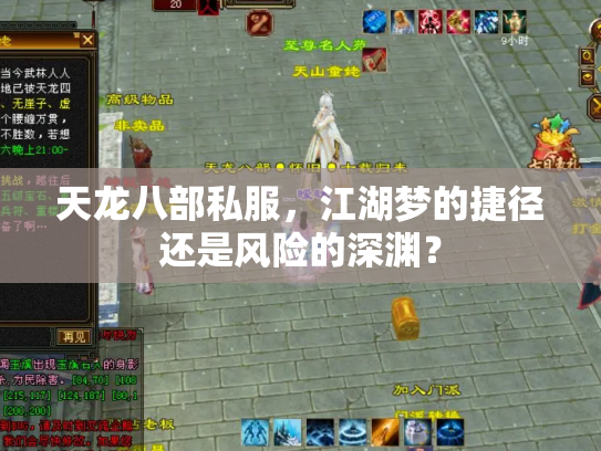 天龙八部私服，江湖梦的捷径还是风险的深渊？