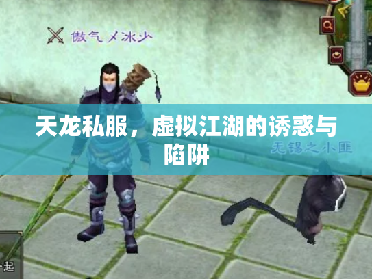 天龙私服，虚拟江湖的诱惑与陷阱