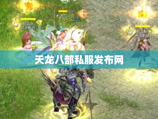 天龙八部私服发布网