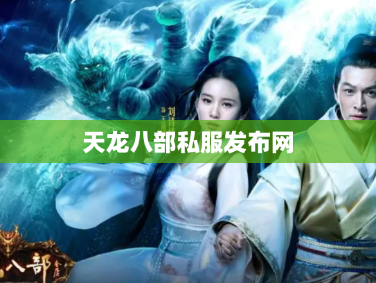 天龙八部私服发布网