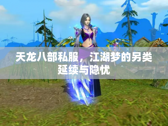 天龙八部私服，江湖梦的另类延续与隐忧