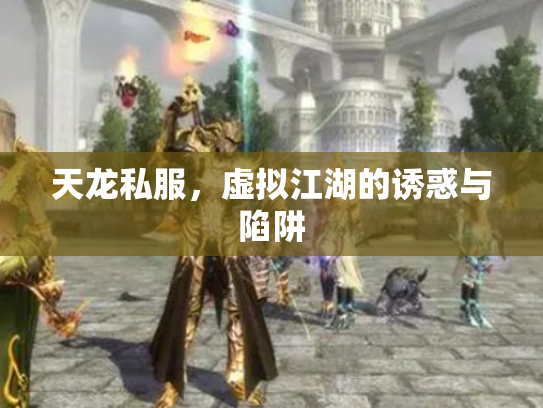 天龙私服，虚拟江湖的诱惑与陷阱